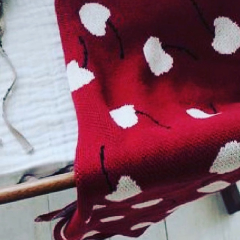 ISO Fin & Vince Cherries blanket